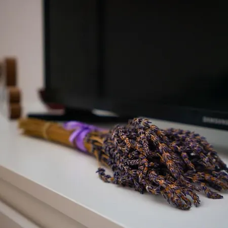 Lavender Budapest