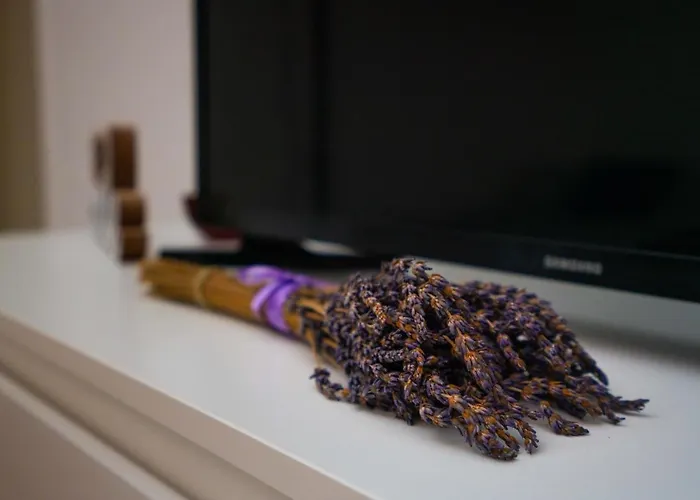 Lavender Budapest